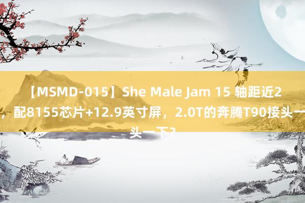 【MSMD-015】She Male Jam 15 轴距近2米8，配8155芯片+12.9英寸屏，2.0T的奔腾T90接头一下？