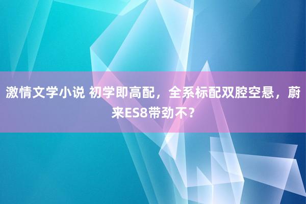 激情文学小说 初学即高配，全系标配双腔空悬，蔚来ES8带劲不？