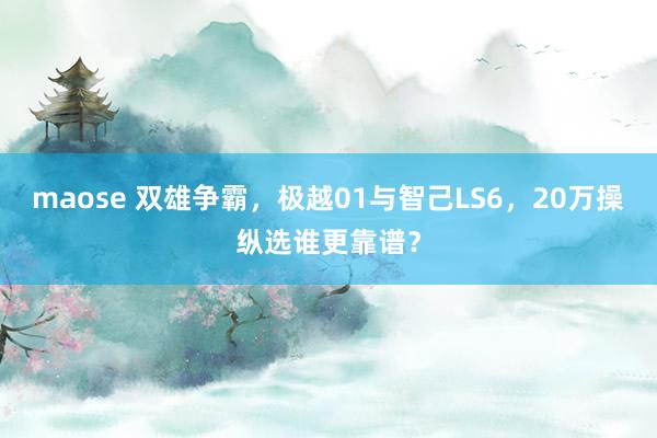 maose 双雄争霸，极越01与智己LS6，20万操纵选谁更靠谱？