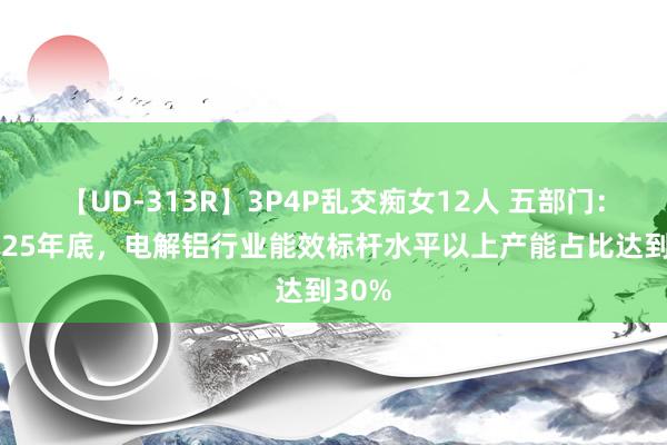 【UD-313R】3P4P乱交痴女12人 五部门：到2025年底，电解铝行业能效标杆水平以上产能占比达到30%