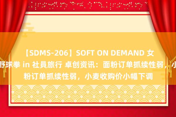 【SDMS-206】SOFT ON DEMAND 女子社員スペシャル野球拳 in 社員旅行 卓创资讯：面粉订单抓续性弱，小麦收购价小幅下调