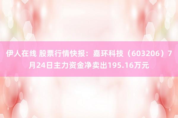 伊人在线 股票行情快报：嘉环科技（603206）7月24日主力资金净卖出195.16万元