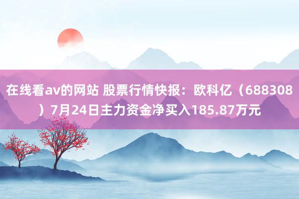 在线看av的网站 股票行情快报：欧科亿（688308）7月24日主力资金净买入185.87万元