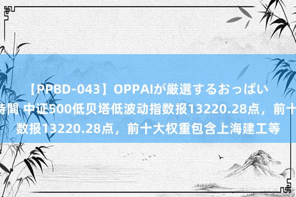 【PPBD-043】OPPAIが厳選するおっぱい 綺麗で敏感な美巨乳4時間 中证500低贝塔低波动指数报13220.28点，前十大权重包含上海建工等