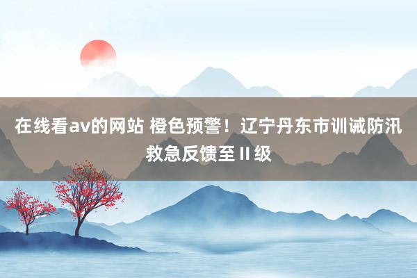 在线看av的网站 橙色预警！辽宁丹东市训诫防汛救急反馈至Ⅱ级