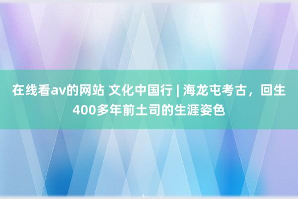 在线看av的网站 文化中国行 | 海龙屯考古，回生400多年前土司的生涯姿色