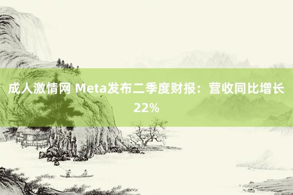 成人激情网 Meta发布二季度财报：营收同比增长22%