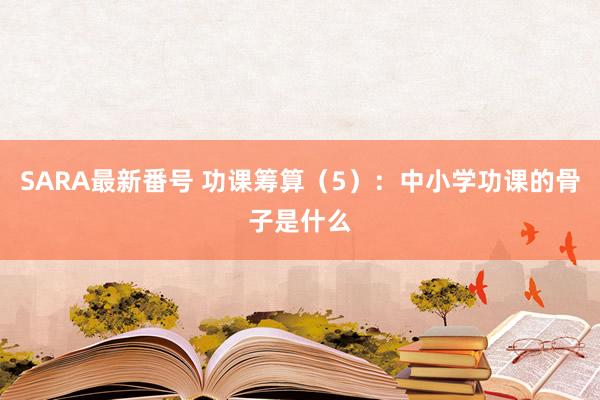 SARA最新番号 功课筹算（5）：中小学功课的骨子是什么