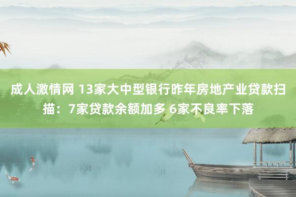 成人激情网 13家大中型银行昨年房地产业贷款扫描：7家贷款余额加多 6家不良率下落