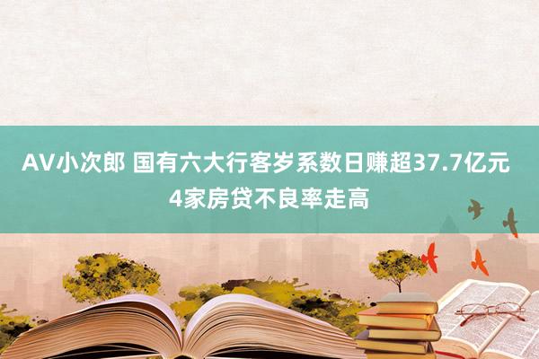 AV小次郎 国有六大行客岁系数日赚超37.7亿元 4家房贷不良率走高