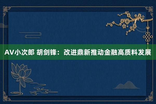 AV小次郎 胡剑锋：改进鼎新推动金融高质料发展