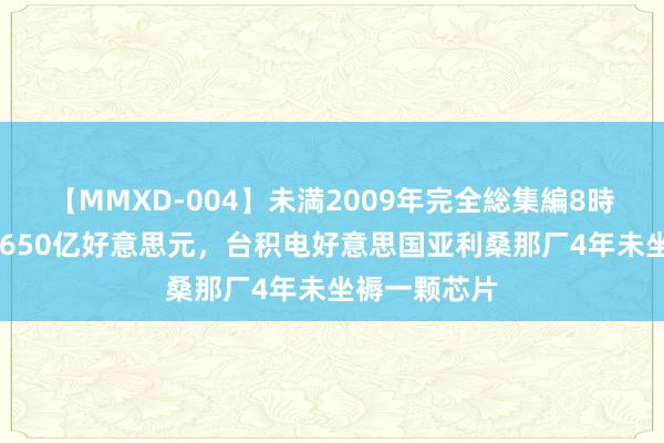 【MMXD-004】未満2009年完全総集編8時間 累计投资650亿好意思元，台积电好意思国亚利桑那厂4年未坐褥一颗芯片