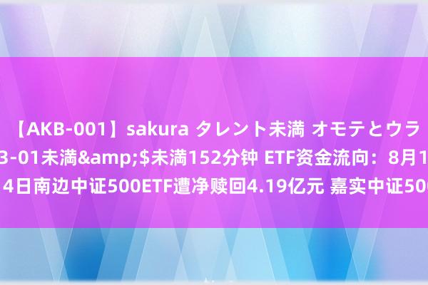 【AKB-001】sakura タレント未満 オモテとウラ</a>2009-03-01未満&$未満152分钟 ETF资金流向：8月14日南边中证500ETF遭净赎回4.19亿元 嘉实中证500ETF遭净赎回2.74亿元（附图）