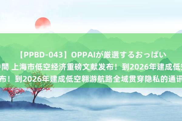 【PPBD-043】OPPAIが厳選するおっぱい 綺麗で敏感な美巨乳4時間 上海市低空经济重磅文献发布！到2026年建成低空翱游航路全域贯穿隐私的通讯集中