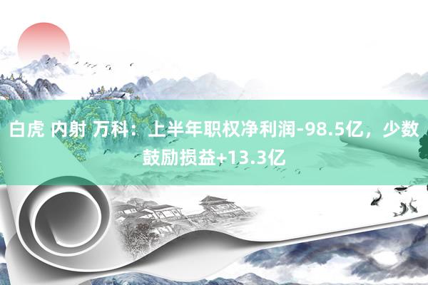 白虎 内射 万科：上半年职权净利润-98.5亿，少数鼓励损益+13.3亿