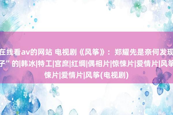 在线看av的网站 电视剧《风筝》：郑耀先是奈何发现敌特“影子”的|韩冰|特工|宫庶|红绸|偶相片|惊悚片|爱情片|风筝(电视剧)