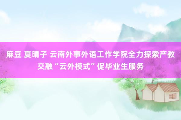 麻豆 夏晴子 云南外事外语工作学院全力探索产教交融“云外模式”促毕业生服务